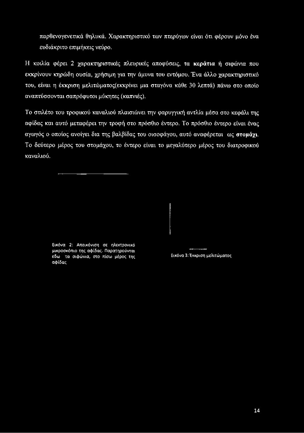 για την άμυνα του εντόμου.