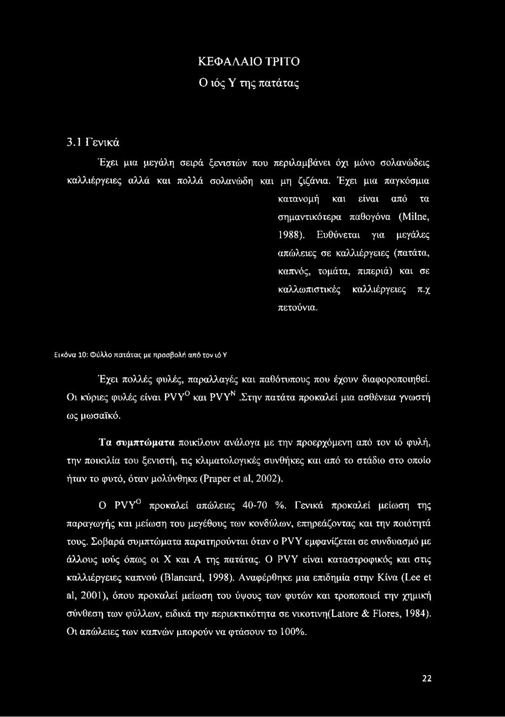 χ πετούνια. Εικόνα 10: Φύλλο πατάτας με προσβολή από τον ιό Y Έχει πολλές φυλές, παραλλαγές και παθότυπους που έχουν διαφοροποιηθεί. Οι κύριες φυλές είναι PVY και PVYN.