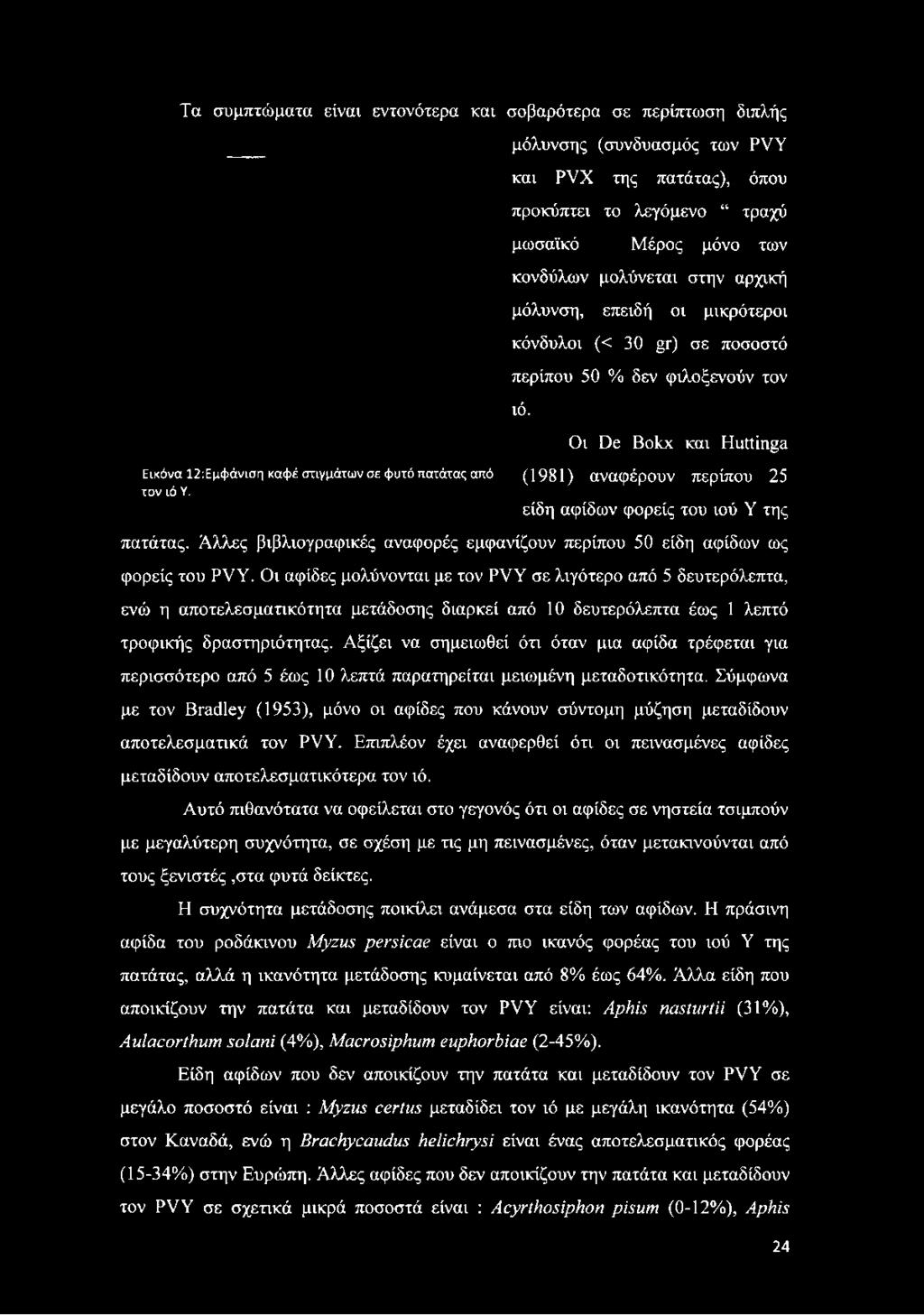 περίπου 50 % δεν φιλοξενούν τον ιό. Οι De Bokx και Huttinga (1981) αναφέρουν περίπου 25 είδη αφίδων φορείς του ιού Υ της πατάτας.