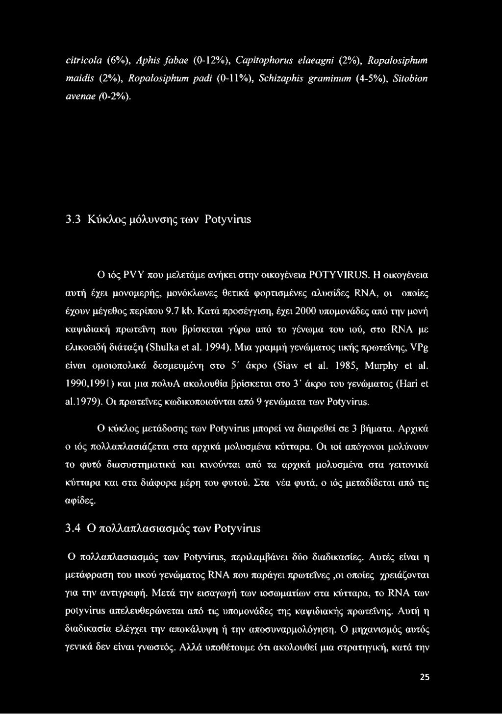 Η οικογένεια αυτή έχει μονομερής, μονόκλωνες θετικά φορτισμένες αλυσίδες RNA, οι οποίες έχουν μέγεθος περίπου 9.7 kb.