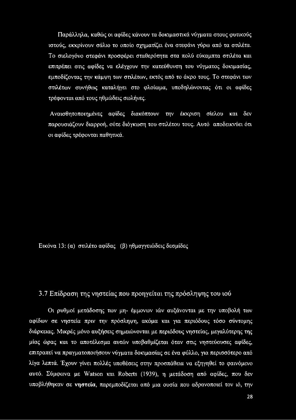 άκρο τους. Το στεφάνι των στιλέτων συνήθως καταλήγει στο φλοίωμα, υποδηλώνοντας ότι οι αφίδες τρέφονται από τους ηθμώδεις σωλήνες.