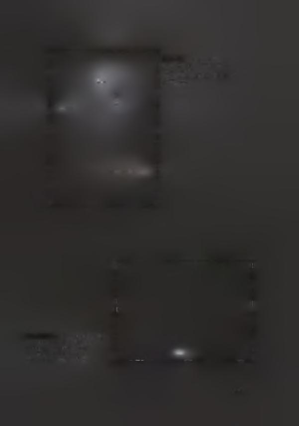 Εικ. 2 - Τπγραφικό σχεδιάγραμμα χων χάφων χυ νεκρχαφείυ Πλασχήρας χης Νάξυ (Dums 177, 33). Εικ.