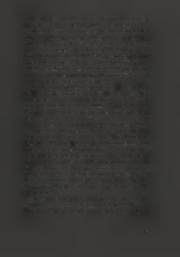 όμως, νεκρταφεία πυ περιελάμβαναν πάνω από 50 τάφυς, όπως αυτά της Νάξυ και συγκεκριμένα ι Καρβυνόλακκι με 82 τάφυς (Στέφανς 103, 52-53), ι Φυρρόγες με 100 τάφυς (Στέφανς 104, 58) και Κάμπς ακρής με