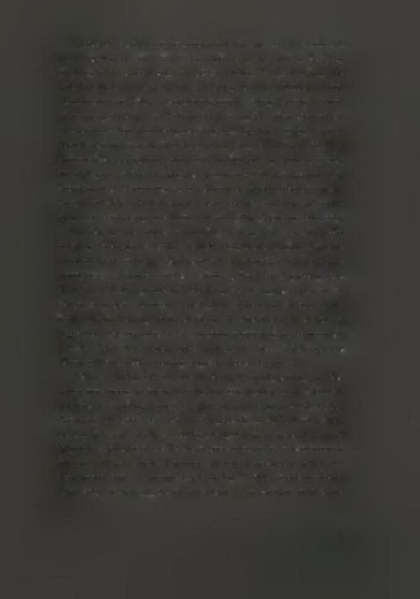 Παράλληλα με όλα αυτά χα χαρακτηριστικά, πρέπει να σημειώσυμε τι τ μέγεθς των τάφων ήταν ένας παράγντας πυ παρά χς ελάχιστες διαφρές ανά νεκρταφεί, παραμένε σταθερός.