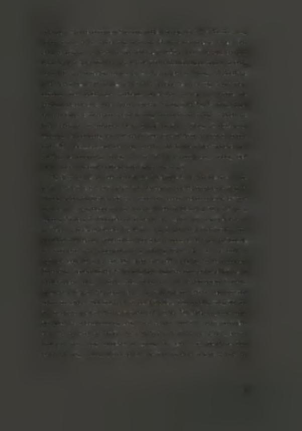 την αρχή. Στ νεκρταφεί Σταυρός ήρθε στ φως μόν 1 κιβωτιόσχημς τάφς τύπυ Α και ασύλητς, τάφς 12, στν πί είχε ταφεί μόν ένας νεκρός και τ μόν πυ διασώθηκε ήταν λίγα στά (πιν.