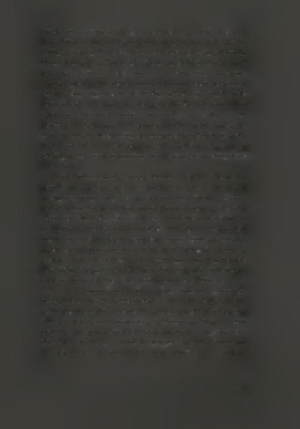 ειδώλια. ι περιπτώσεις τάφων, πυ έφεραν στ φως ειδώλια είναι τάφς 100 και 103 τυ νεκρταφείυ Πύργς της Πάρυ (πιν. 37-38), καθώς και τάφς 111 στ Αειβάδι τυ Δεσπτικύ (πιν.