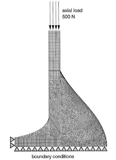 24 (β)