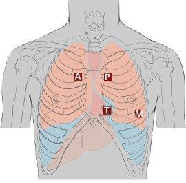 ΚΕΦΑΛΑΙΟ ΔΕΥΤΕΡΟ : ΑΚΡΟΑΣΗ ΚΑΡΔΙΑΣ ΕΙΣΑΓΩΓΗ Η ακρόαση των καρδιακών ήχων αποτελεί κεφαλαιώδους σημασίας εξέταση για κάθε ασθενή και φυσικά ιατρό για να παρακολουθήσει την πορεία πλήθους καρδιακών