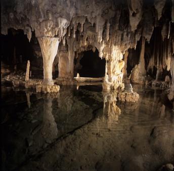 Σπήλαιο «Περάματος» Ιωαννίνων Εκτός από τα ίχνη λατρείας των θεών του Κάτω Κόσμου, στο Σπήλαιο του Περάματος βρέθηκαν, σύμφωνα με μελέτες παλαιοντολόγων, και τα οστά ενός σπάνιου είδους αρκούδας, της