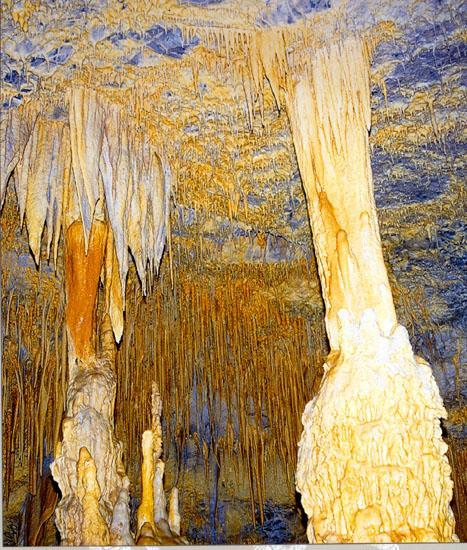 Σπήλαιο Κάψια Αρκαδίας Το σπήλαιο Κάψια συγκαταλέγεται στα 100 κατάλληλα για αξιοποίηση σπήλαια του Ελληνικού χώρου (από τα 7500 συνολικά). Βρίσκεται 1,5 χιλιόμετρο βόρεια του χωριού Κάψια.