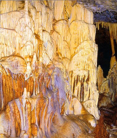 Σπήλαιο Κάψια Αρκαδίας Στο σπήλαιο βρέθηκαν ίχνη παλαιάς πλημμύρας και πλήθος από θραύσματα ανθρώπινων οστών και κρανίων, σκεπασμένα από λάσπη (πάχους μισού μέτρου) που καλύπτει το δάπεδο του