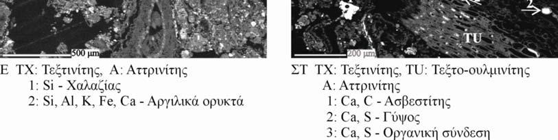 σε στιλπνά δοκίμια