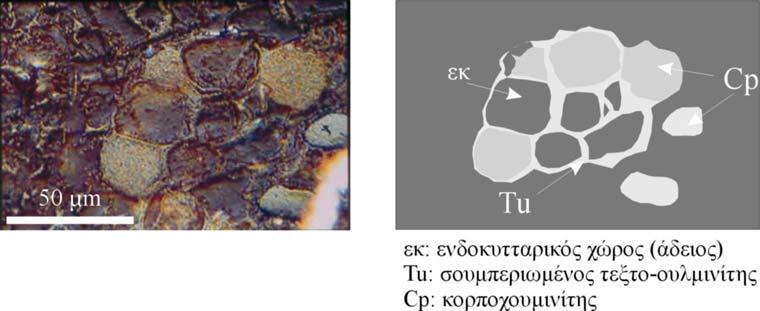 238 Καλαϊτζίδης, Σ. 2007. Εξέλιξη τυρφογένεσης στην Ελλάδα τους οι τεξτινίτες εμφανίζονται συμπιεσμένοι και παραμορφωμένοι.