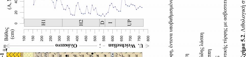 Κεφ. 5.1.