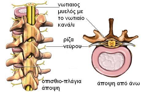 Εικόνα 2.
