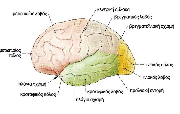 Εικόνα 2.