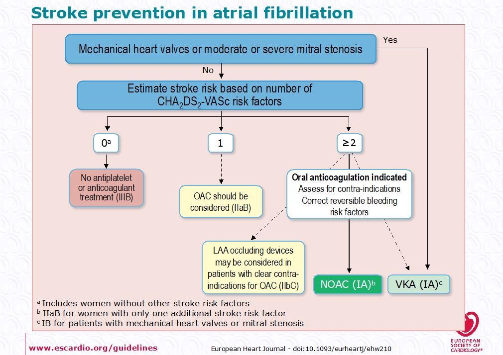 X-fold increase in AUC vs. normal renal function Different Renal Clearance 1 4 7 6 5 6.3 Mild Moderate Severe 4 3.2 3 2 1.4 1.