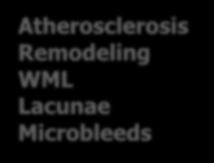 Remodeling WML Lacunae Microbleeds Hemorrhagic stroke Ischemic stroke