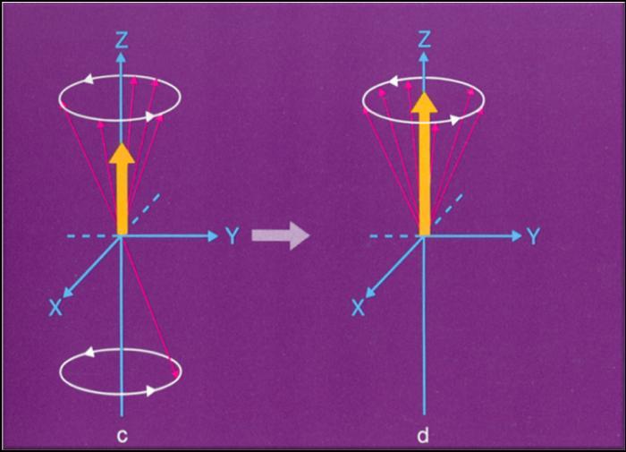 (1 e ) z Χρόνος μαγνητικής αποκατάστασης, Τ 1 = ο χρόνος που χρειάζεται το σύστημα των πυρηνικών