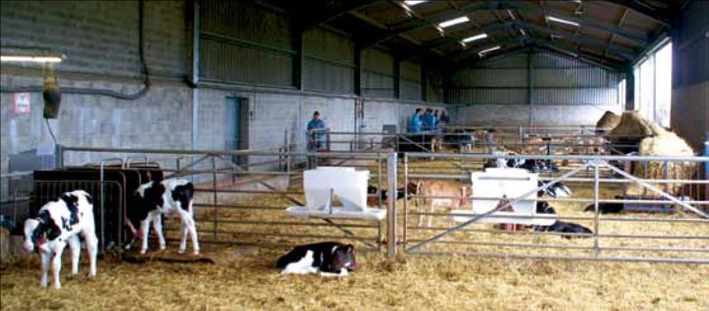 NÕUETELE VASTAVUS 2014 Loomade heaolu (põllumajandusloomade kaitse direktiivid KM 16 18) Järgnevad 16 loomade heaolu alast nõuet tulenevad vasikate, sigade ja põllumajandusloomade kaitse
