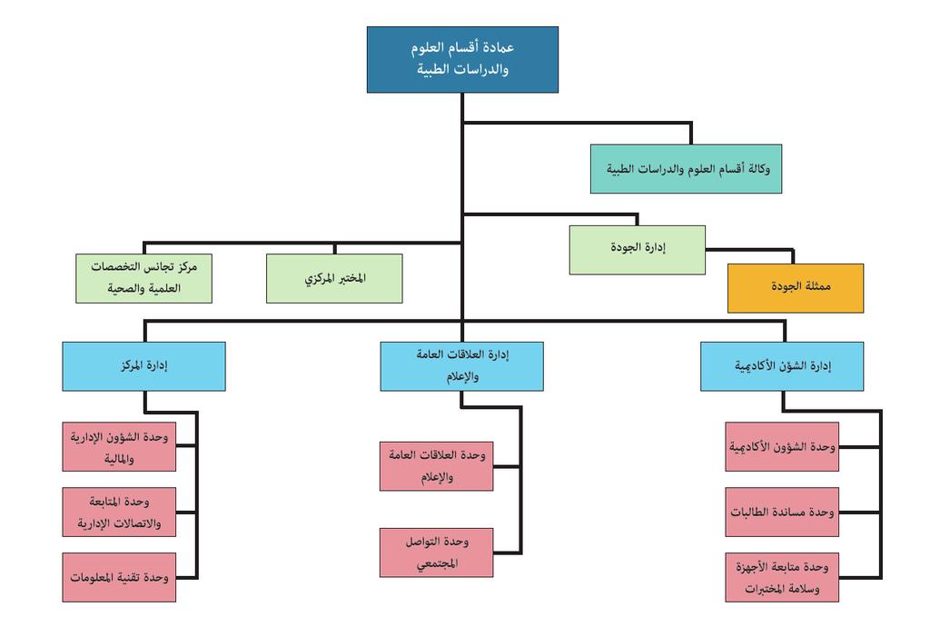 أقسام العلوم والدراسات الطبية الرؤية : ريادة عاملية يف التخصصات العلمية والصحية لبناء مجتمع املعرفة.