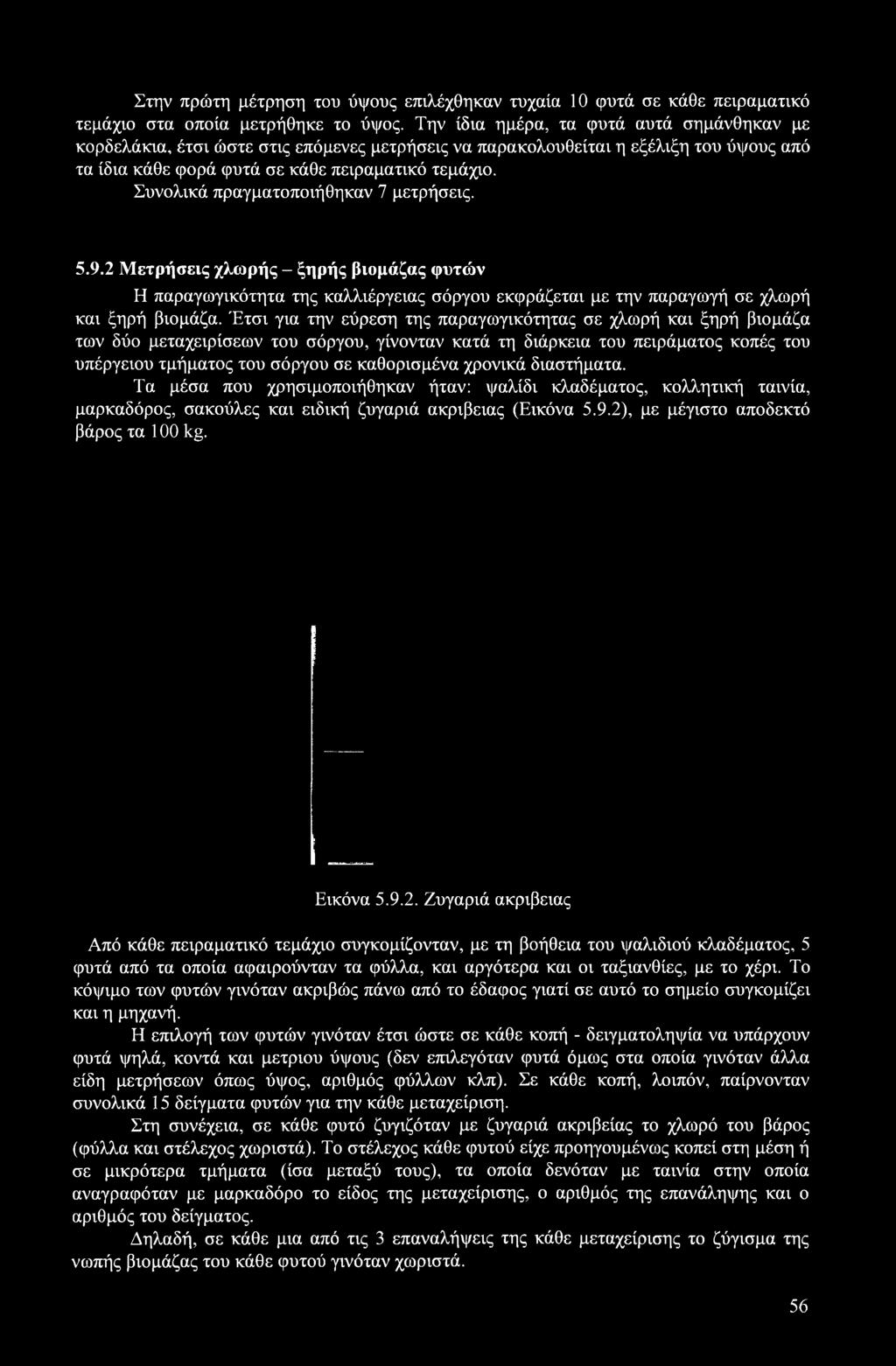 Συνολικά πραγματοποιήθηκαν 7 μετρήσεις. 5.9.2 Μετρήσεις χλωρής - ξηρής βιομάζας φυτών Η παραγωγικότητα της καλλιέργειας σόργου εκφράζεται με την παραγωγή σε χλωρή και ξηρή βιομάζα.