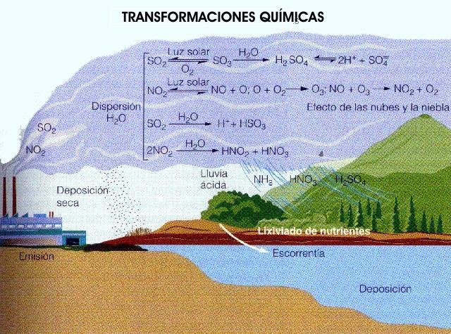 Ozono troposférico. O ozono (O 3 ) é un gas de forte poder oxidante.