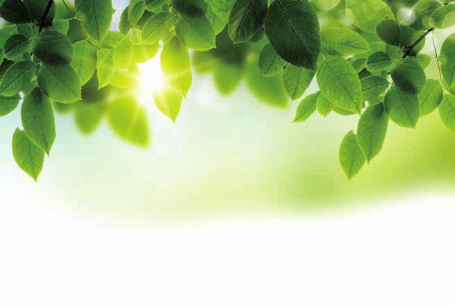 2 2 Γιατί συνθετικό καουτσούκ; Το καουτσούκ είναι ένα φυσικό πολυμερές προϊόν