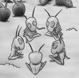 Unit : The ant and the cricket Project Create your season book. You can find it on page 0.