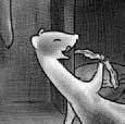 Easel, the weasel, is licking his