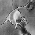 Unit : The weasel and the mole.
