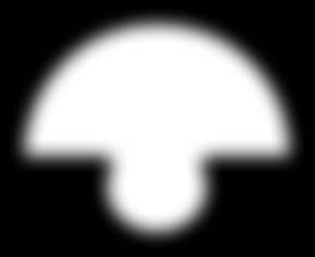 Unit 5: The animal school Unit 5 animal school The Lesson : School is fun. Find and match.. notebook E... d.