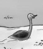 Unit 5: The animal school