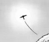 Don't fly near the sun. T F.