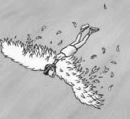 I'm flying like a bird. T F 6.