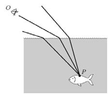 светлост прелама уколико је познат упадни угао и особине једне и друге средине. 1/16/2011 4 Преламање Риба се налази у тачки Р испод површине воде.