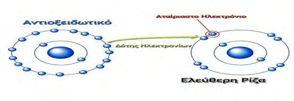 καθυστερεί σημαντικά ή αποτρέπει την οξείδωση του υποστρώματος αυτού. (Vaya J. and Aviram M., 2001). 1.1.5.