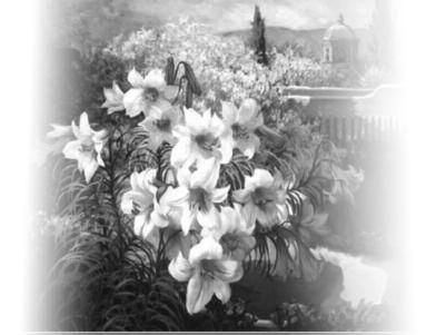 Nicholas Church a Happy Easter Θερμές ευχές σε όλους τους πελάτες μας στους συγγενείς και στους φίλους μας καθώς και στην Ομογένεια και Ditmars Real Estate Consultants, Inc.