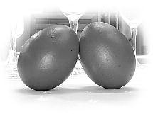 : (516) 932-5630 - Fax: (516) 932-5633 Importers - Wholesalers KITCHENS - LIVING ROOMS - BATHROOMS Ε Π Α Ι Ν Ο Σ Α ΚΑ Δ Η Μ Ι Α Σ Α Θ Η Ν Ω Ν Ευχόμαστε στα μέλη και στις οικογένειές τους σ όλους τους