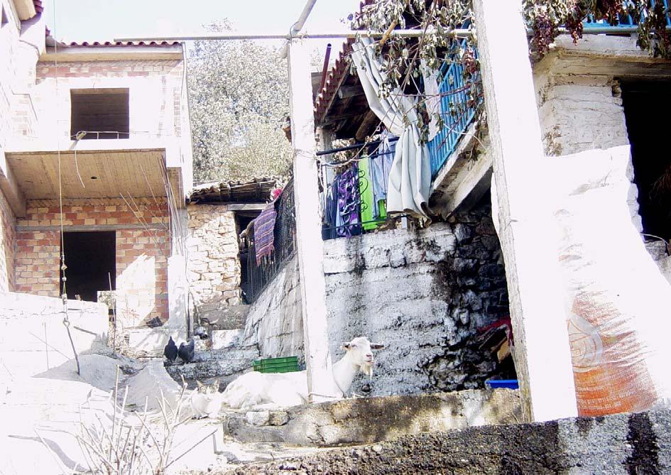 Οι νεκροί της Hλείας, τα χωριά που έσβησαν από τον χάρτη, τα ζώα και τα πουλιά που κάηκαν, τα δέντρα και τα φυτά, η γη που έγινε στάχτη δεν πρέπει να ξεχαστούν.