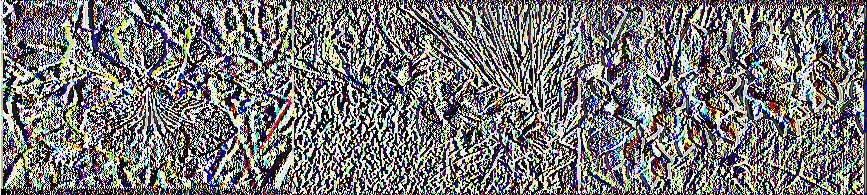 (Δάρρας 2006, Αντωνιδάκη-Γιατρομανωλάκη 1996): Compositae: Αποτελεί τη μεγαλύτερη οικογένεια καλλωπιστικών φυτών (Εικόνα 1).