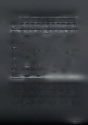 Πίνακας 42: Εξαγωγές της Ελλάδας σε φυλλώδη φυτά εσωτερικού χώρου, συμπεριλαμβανομένων των κάκτων.