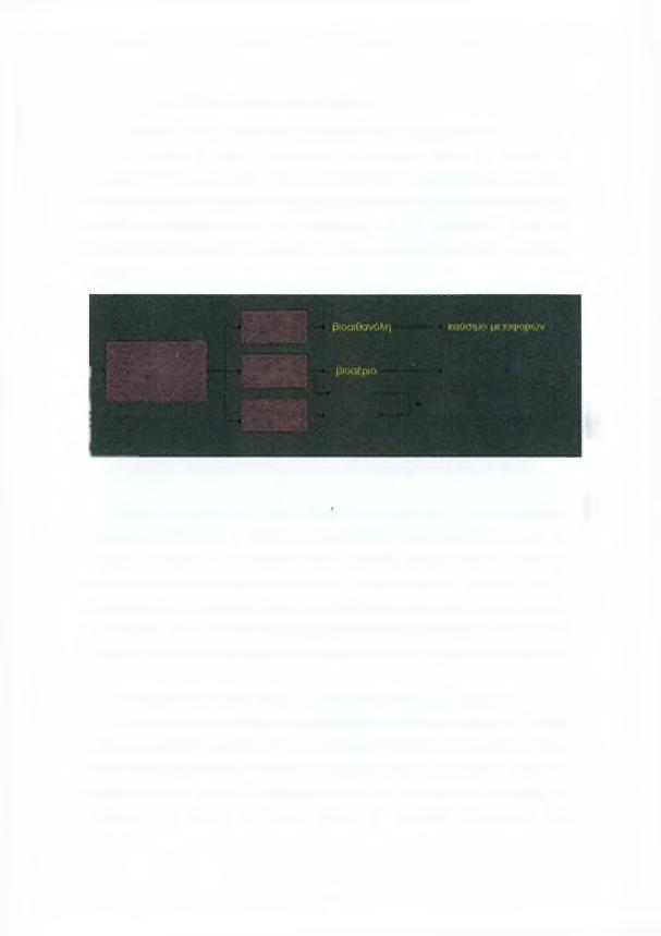 Βιοκαύσιμα 1.2.
