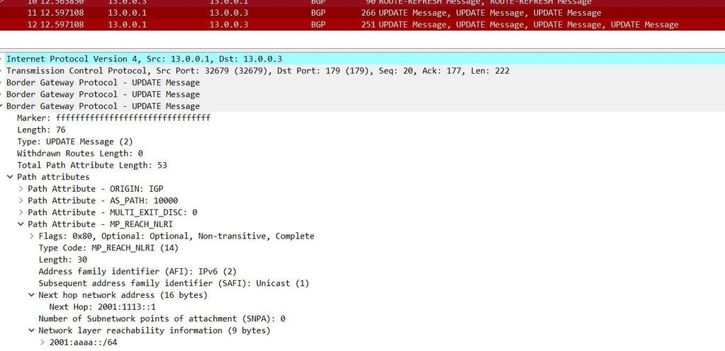 Εικόνα 36 - Στιγμιότυπο από το Wireshark, IPv4 over IPv4, για το Update που στέλνει ο R1 με IPv4 address Τέλος, για τα Αυτόνομα Συστήματα 10000 και 40000 και αφού έχουμε περάσει τις IP διευθύνσεις