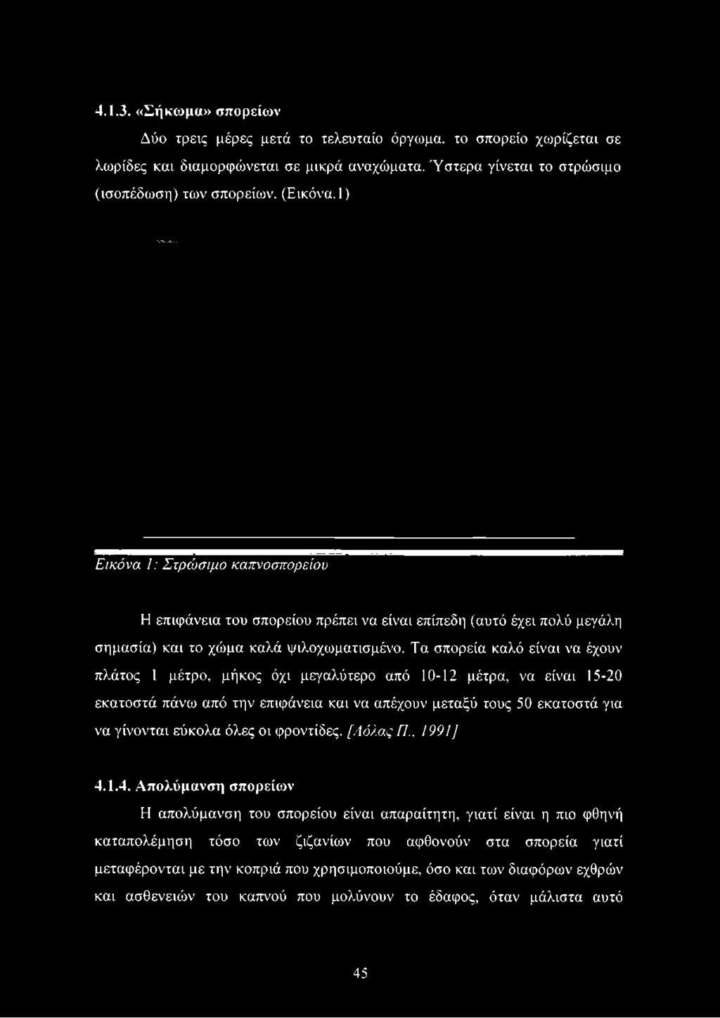 1) Εικόνα 1: Στρώσιμο καπνοσπορείου Η επιφάνεια του σπορείου πρέπει να είναι επίπεδη (αυτό έχει πολύ μεγάλη σημασία) και το χώμα καλά