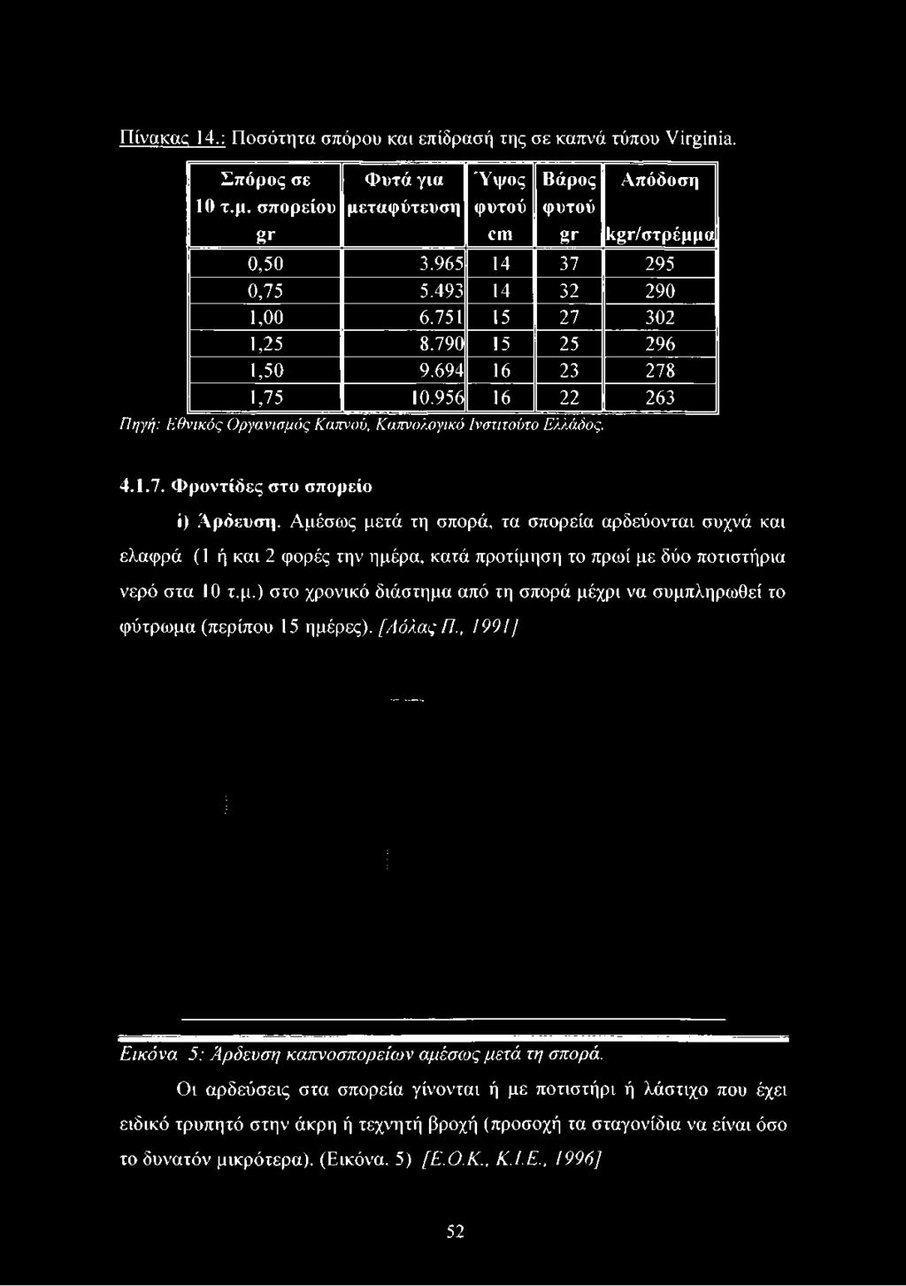 694 16 23 278 1,75 10.956 16 22 263 Πηγή: Εθνικός Οργανισμός Καπνού, Καπνολογικό Ινστιτούτο Ελλάδος. 4.1.7. Φροντίδες στο σπορείο ί) Αρδευση.