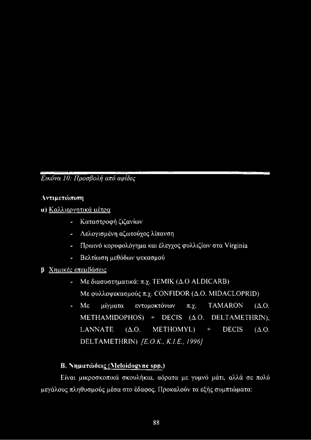 Εικόνα 10: Προσβολή από αψίδες Αντιμετώπιση «) Καλλιεργητικά ιιέτρα - Καταστροφή ζιζανίων - Λελογισμένη αζωτούχος λίπανση - Πρωινό κορυφολόγημα και έλεγχος φυλλιζίων