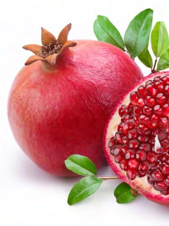880090 Αρώνια SUPERFOOD ASOP