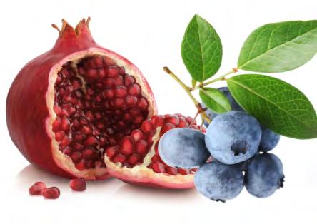 ASOP Extra Pomegranate Aronia