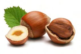 Liqueur Εσπεριδοειδή FIOR DI MELONE